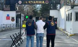 Diyarbakır'da haklarında kesinleşmiş hapis cezası bulunan 153 kişi yakalandı