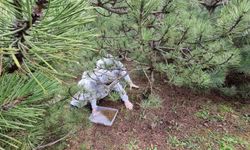 Doğanın sessiz kahramanları görev başında