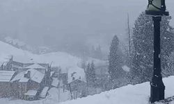 Dünyaca ünlü Ayder Yaylası'nda kar etkisini sürdürüyor