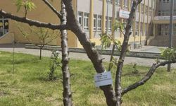 Edirne İlhami Ertem Anadolu Lisesi öğrencilerinden anlamlı etkinlik