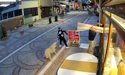 Edirne'de başıboş köpek saldırısı: 19 yaşındaki genç yaralandı