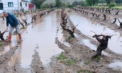 Elazığ'da dolu yağışı sonrası hasar tespit çalışması