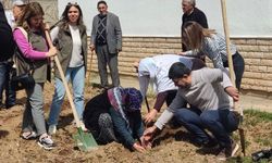 Elazığ'da fidan dikme etkinliği