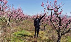 Elazığ'da meyve bahçelerinde entegre mücadele çalışması