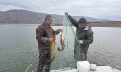 Elazığ'da su ürünleri araştırma çalışmaları sürüyor