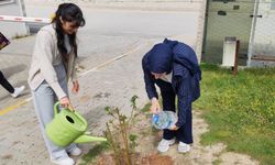 Emet MYO kampüsüne gül fidanı dikimi