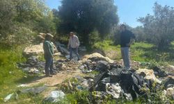 Endemik Tülüşah için inceleme yaptılar