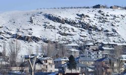 Erciş'te nisan ayında kar yağışı