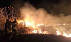 Erzincan'da anız yangını korkuttu