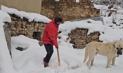 Erzincan'da hava soğudu, yüksek kesimlere kar yağdı