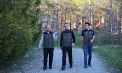 Erzincan'da orman projeleri incelendi