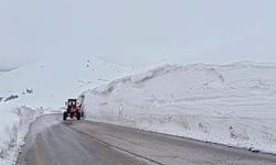 Erzurum'da 2 bin 885 rakımlı zorlu sınav: Palandöken Geçidi'nde kar ve tipi mesaisi