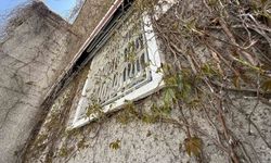 Eskişehir'de 'Sarmaşıklı Camii'nin dış cephesi yeşermeye başladı