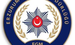 Fahri trafik müfettişlerine yönelik eğitim toplantısı düzenlenecek