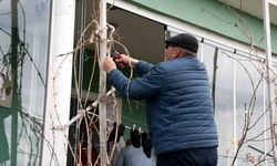 Geçen yıl don vurmuştu, Yozgatlı üzüm üreticisi bu yıl umutlu