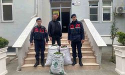 Germencik'te incir bahçesinde jandarmadan suçüstü