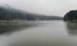 Gölcük'te kar yağışı ve sis etkili oldu