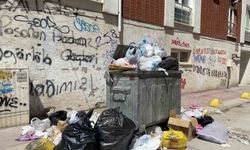 Güllük Mahallesinde yetersiz çöp konteynırı sebebiyle çöpler yollara taştı