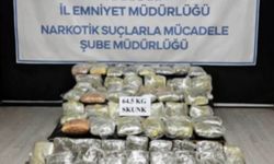 Hakkari'de 64,5 kilogram skunk ele geçirildi