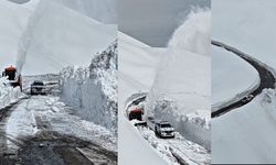 Hakkari'de emniyetten güven mesajı