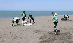 Hatay Büyükşehir Belediyesi, sahillerde temizlik çalışmasını yıl boyu sürdürüyor