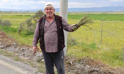 Hem sağlığını koruyor, hem de paylaşmanın mutluluğunu yaşıyor