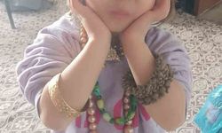 Hizan'da kayıp kız çocuğu için arama çalışması başlatıldı