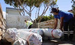 Hortum ve yağıştan zarar gören Kumlucalı çiftçilere sera naylonu desteği