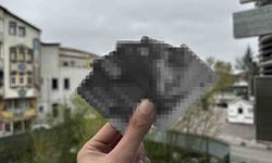 İBAN kullanımında yasa dışı suçlar ve paralar aklandığından büyük cezalar var