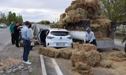 Iğdır'da kamyonet ile otomobil çarpıştı: Otlar aracın üzerine döküldü