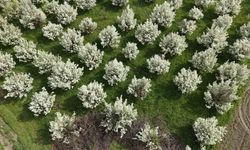 İnegöl'de kartpostallık görüntüler