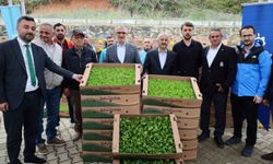 İşlenmeyen araziler üretime dönüyor: Çiftçilere yüzde 75 hibeli fide desteği