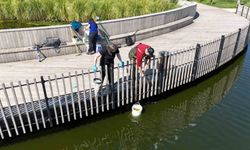 İzmit Millet Bahçesi göletinde bilimsel iyileştirme çalışması başladı