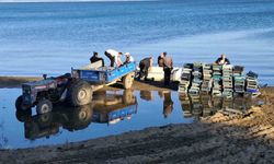 İznik Gölü'nde bereketli sezon...Gümüş balığında yüzler gülüyor