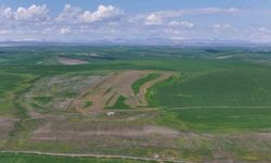 Jandarma eşliğinde ektiği 250 dönüm tarla iddiaya göre akrabaları tarafından ilaçlanarak kurutuldu