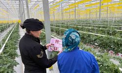 Jandarmanın kadına şiddetle mücadelesi sürüyor