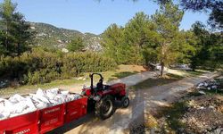 Kaçak döküm yapanlar fotokapandan kaçamadı