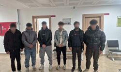 Kaçak göçmenler otomobil bagajında yakalandı