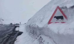 Kar kalınlığı tabela boyunu geçti