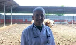 Karanfil 'Veteriner hekim çiftlikten sofraya sağlığın adıdır'