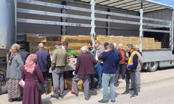 Kastamonu'da çiftçilere 147 bin adet sebze fidesi dağıtıldı