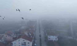 Kastamonu'da yoğun sis