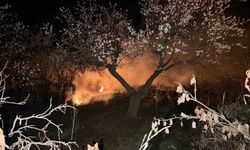 Kayısı bahçelerini ateş ve dumanla donmaya karşı koruyorlar