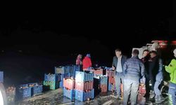 Kazada çevreye dağılan elmaları köy sakinleri topladı