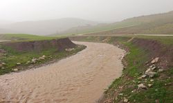 Kilis'te yağışların ardından su kaynakları canlandı