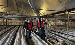 Kiraz bahçelerinde zirai dona karşı nöbet tutuldu