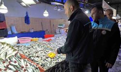 Kırklareli'nde balık tezgahları mercek altında