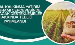 Kırsal kalkınma yatırımlarına yüzde 70'e varan hibe desteği