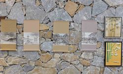 Kırşehir'de Sakura Festivali ve Plastik Sanatlar Sergisi Açıldı