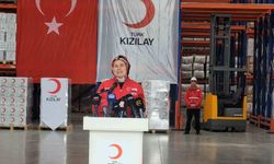 Kızılay'dan İran'a 48 tonluk insani yardım